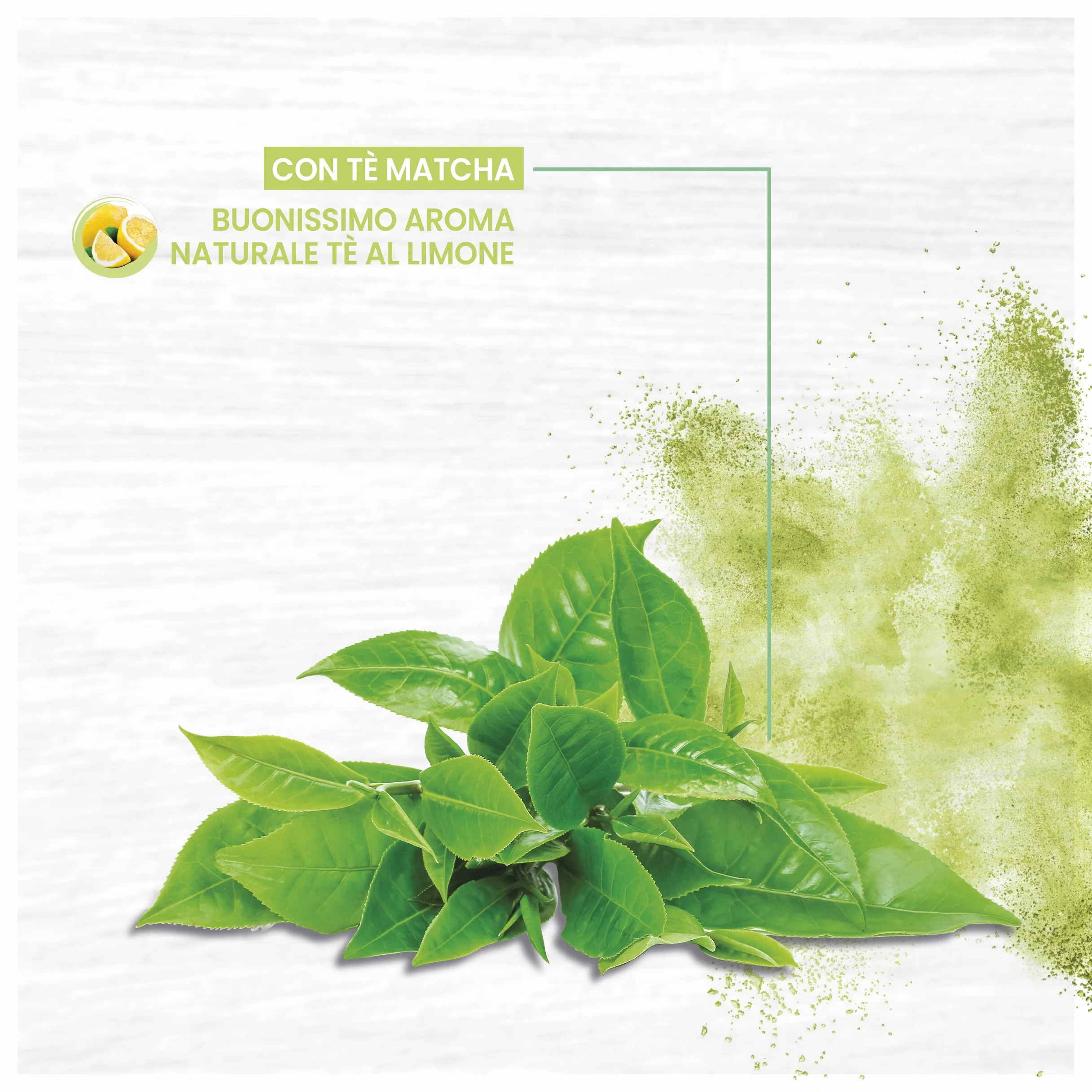 Armores Natura Integratore Alimentare Caffè Verde Betulla Tarassaco Ananas Tè Matcha Vegano Senza Glutine Lattosia Flacone 500ml