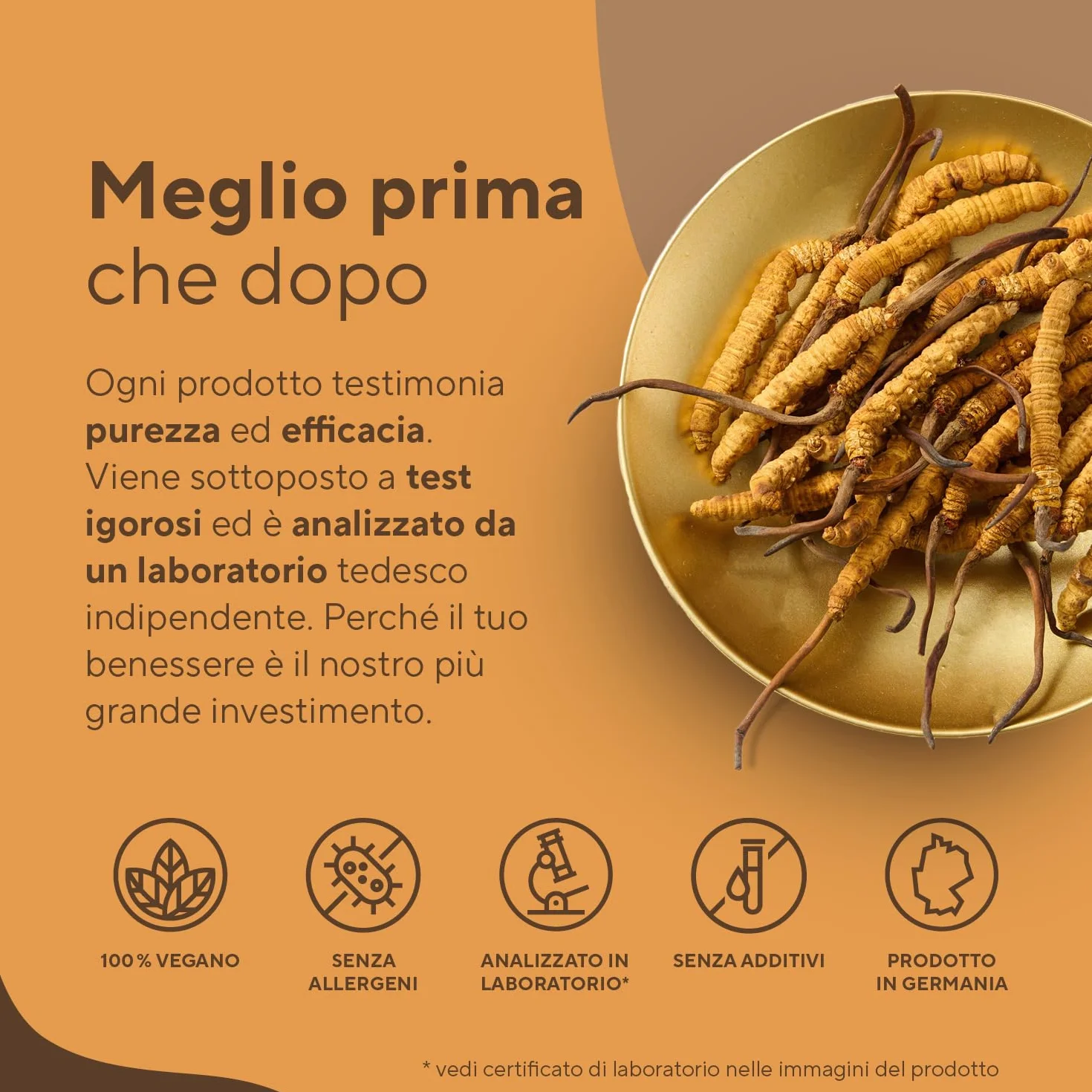 Cordyceps Sinensis - 19500 mg - 270 Capsule (Estratto CS-4 10:1) Alto dosaggio - con 40% di Polisaccaridi Bioattivi - Analizzato in Italia e confezionato in Germania da TRUE NATURE