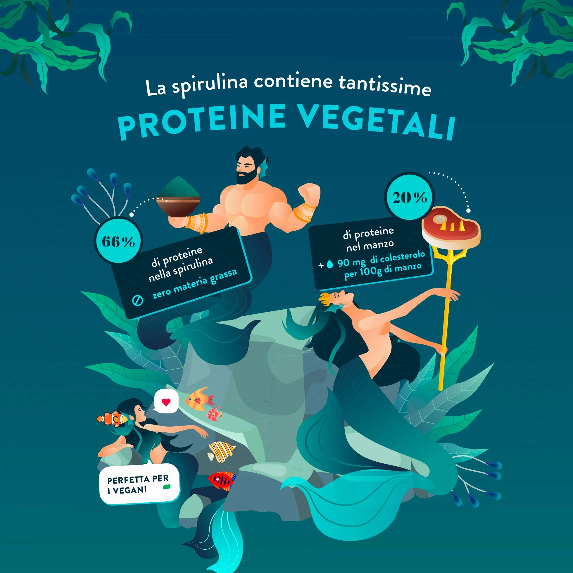 NUTRI & CO Spirulina Biologica 500 Compresse Bio 500 mg Senza Eccipienti 15% Ficocianina Polvere Essiccata Compressa a Freddo