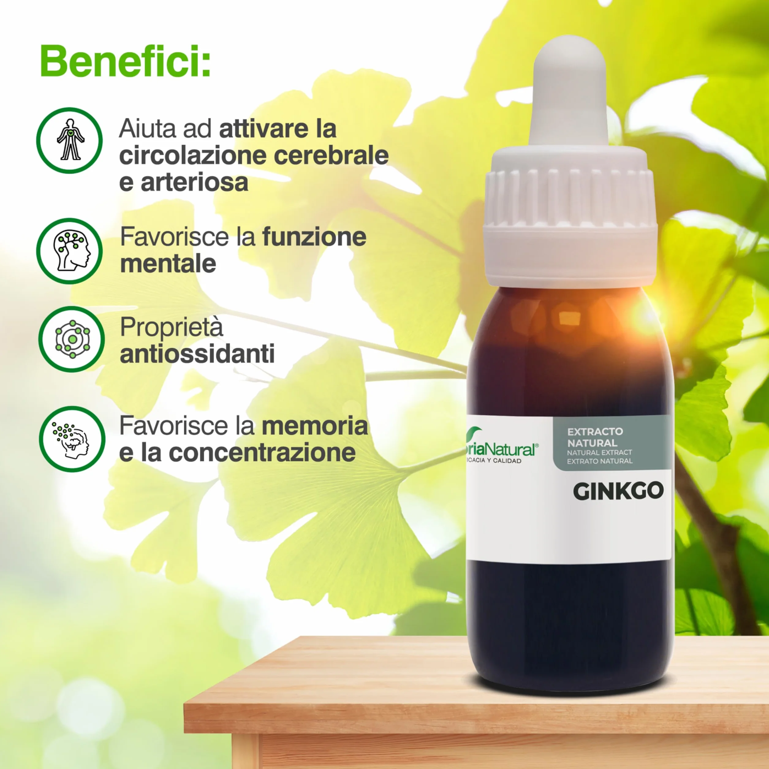 Ginkgo Biloba Integratore Estratto Naturale 50ml - Migliora Memoria, Concentrazione e Circolazione - Ginko Biloba Integratore Memoria e Concentrazione - Soria Natural