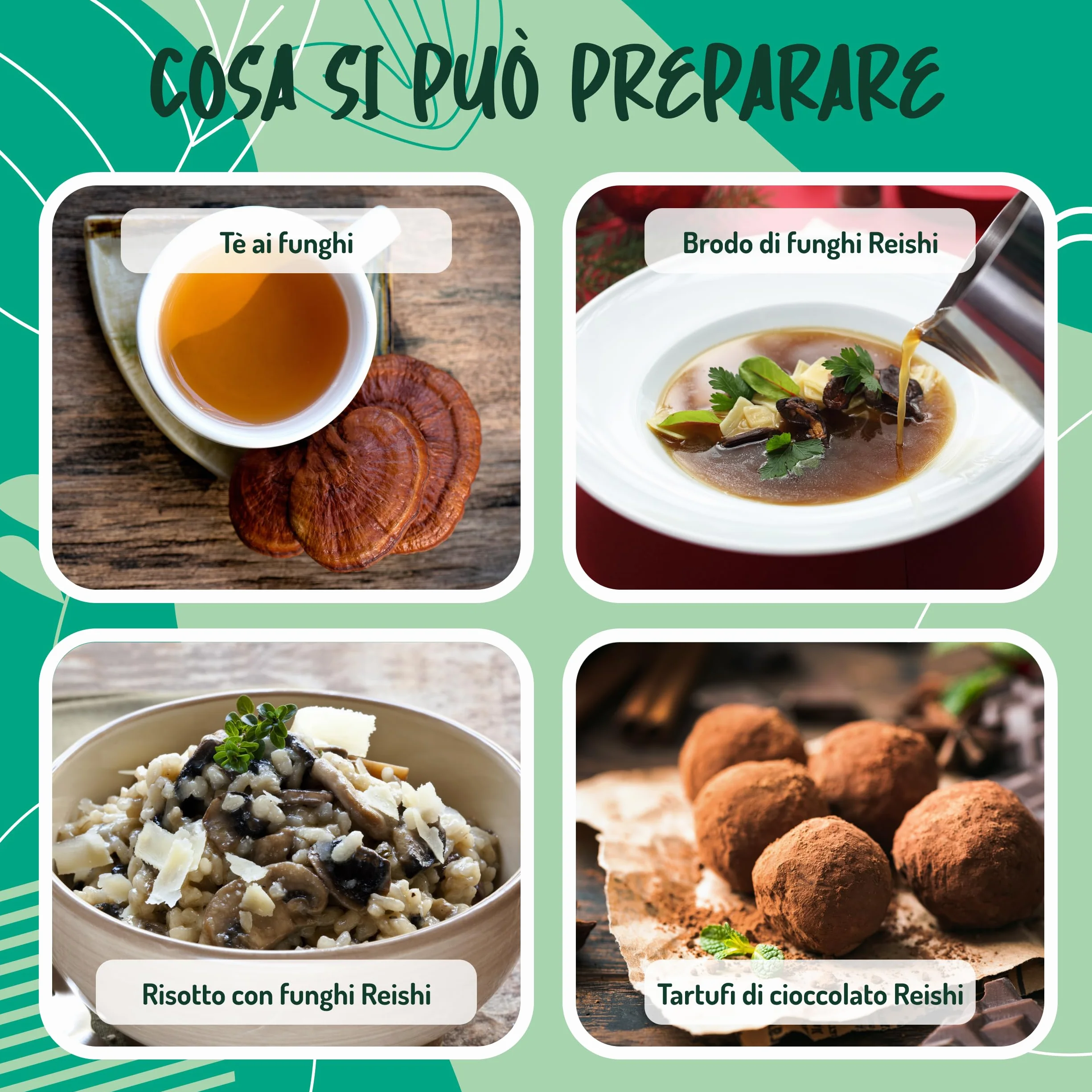 Reishi Ganoderma Lucidum Puro e Bio in Polvere - 300g. Fungo Reishi Biologico Essiccato al Sole e Macinato a Basse Temperature. Funghi medicinali Fonte di Antiossidanti, Fungo Cinese Reishi