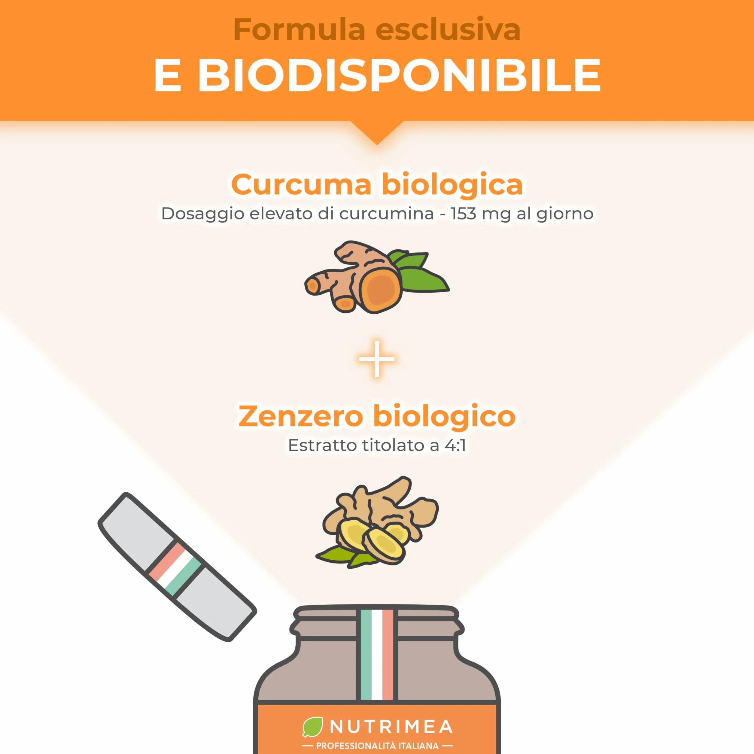 Curcuma Zenzero Biologico 100% Naturale Concentrato di Curcumina Antinfiammatorio Antiossidante Nutrimea
