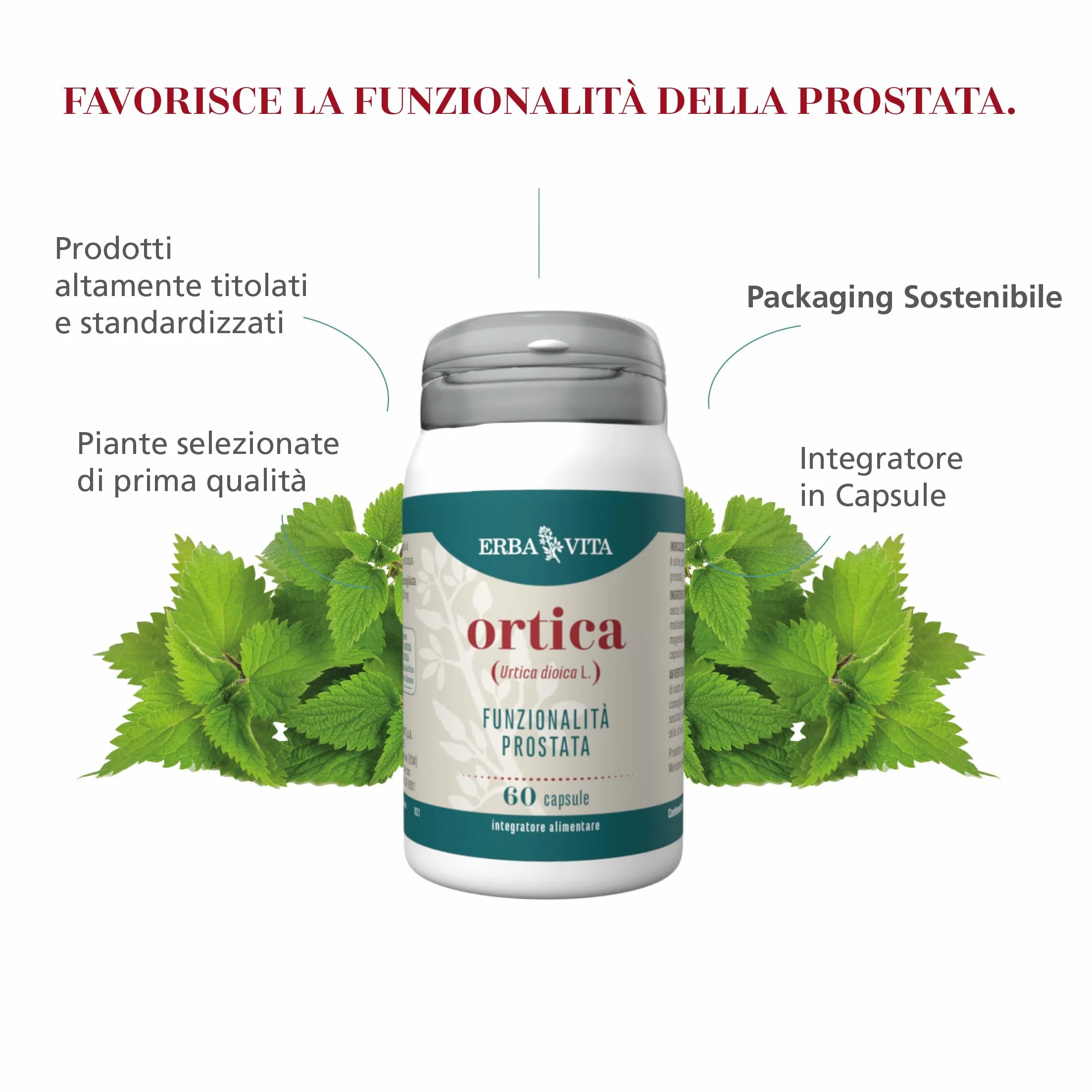 ERBA VITA Integratore Alimentare di Ortica 60 Capsule