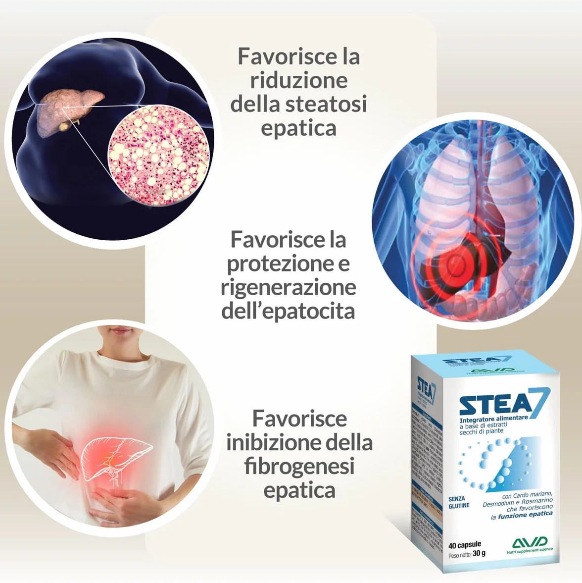 AVD REFORM Stea7 Integratore alimentare funzionalità epatica 40 capsule Prodotto in Italia