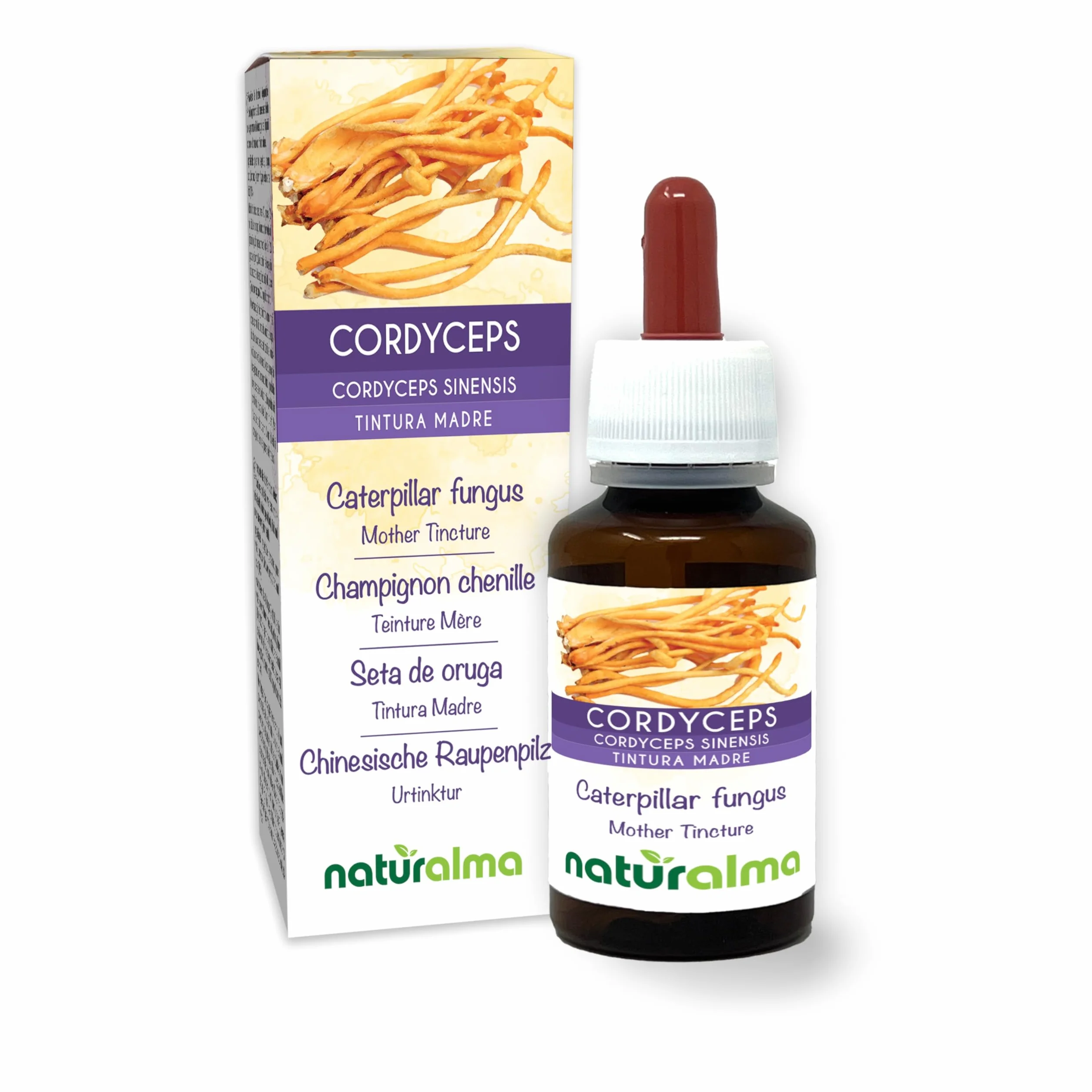 Cordyceps o Fungo bruco (Cordyceps sinensis o Ophiocordyceps sinensis) fungo Tintura Madre analcoolica Naturalma - Estratto liquido gocce 60 ml - Integratore alimentare - Vegano