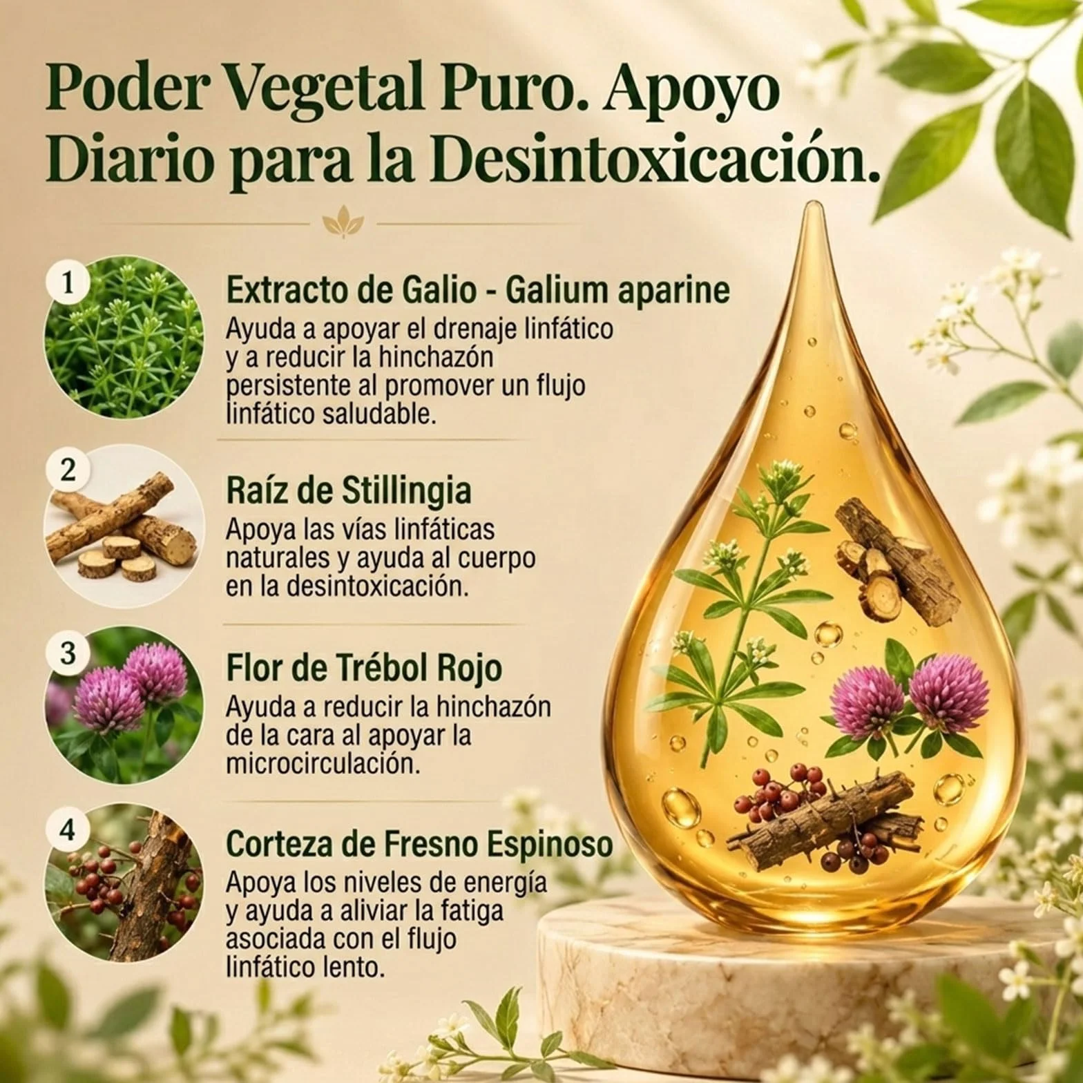 Linea Drenaggio Linfatico Gocce, Formula Erboristica Naturale Senza Glutine (1)