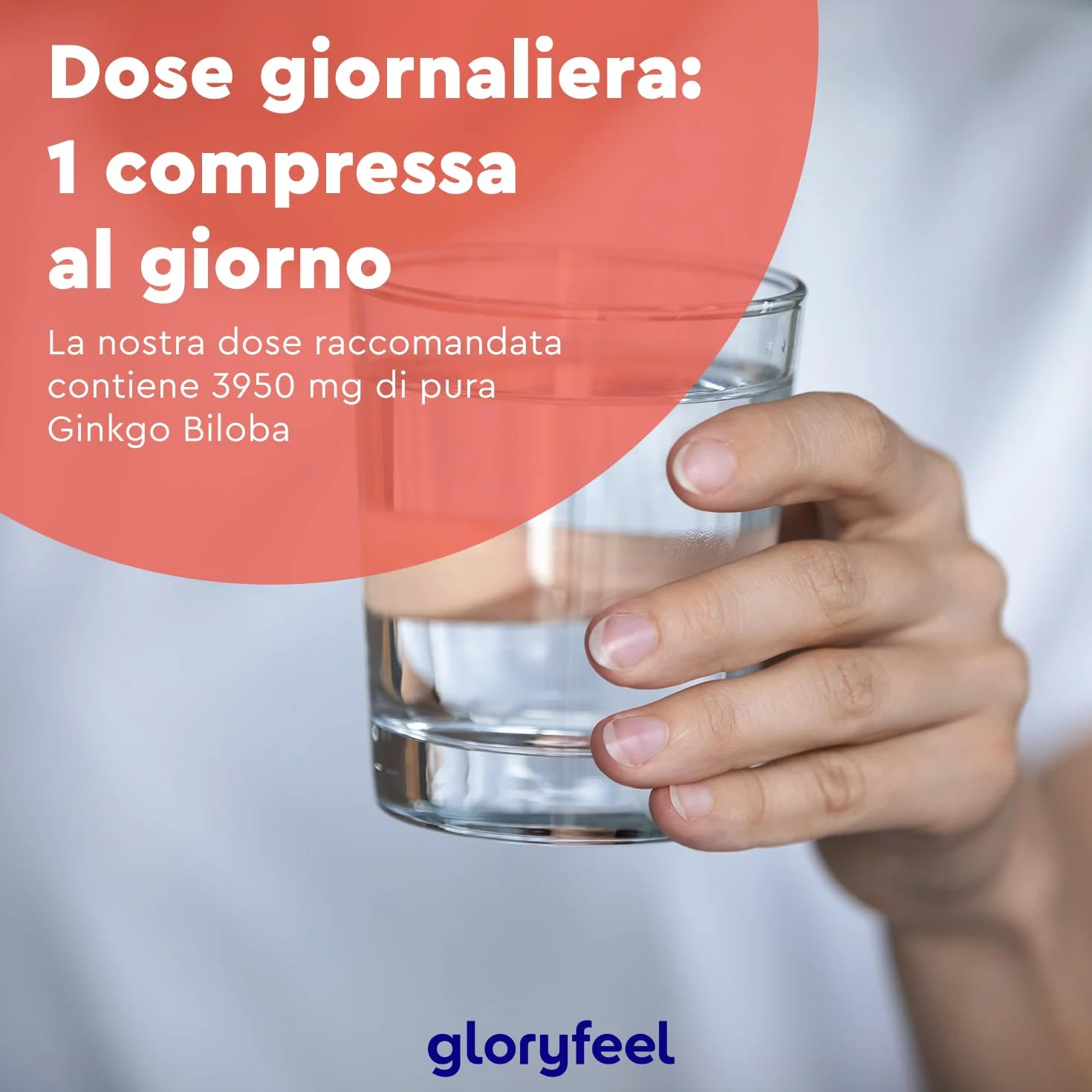 Ginkgo Biloba 50:1 Estratto 3950 mg Integratore Circolazione Concentrazione Memoria 365 Compresse