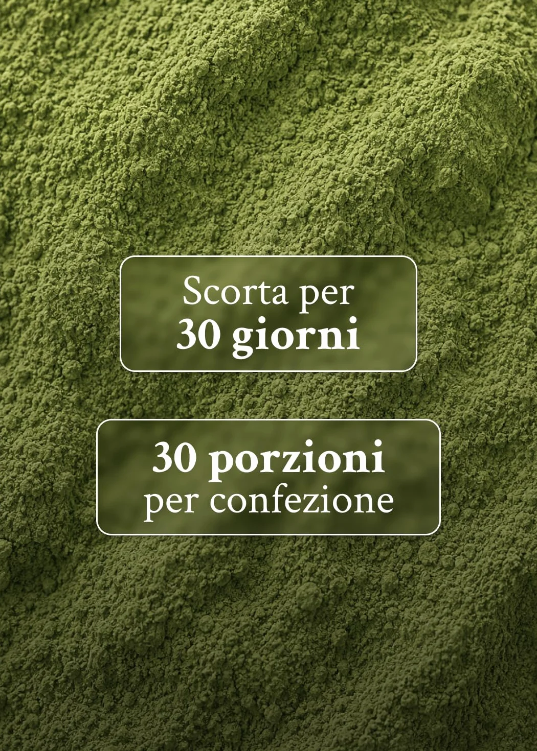Intenson Green Formula Mango Super Greens Polvere Superfood Blend Chlorella Spirulina Ashwagandha OPC Moringa Senza Zucchero Bevanda Funzionale 300 g