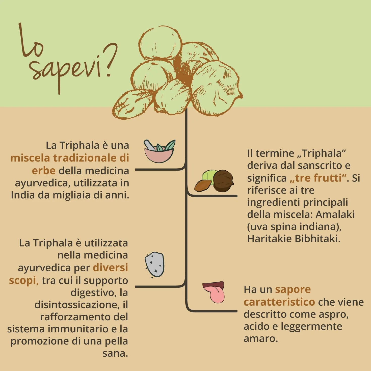 TRIPHALA BIO Vegavero® | 650 mg per capsula | 180 capsule | Depurativo & Disintossicante naturale | Medicina Ayurveda | Vegan