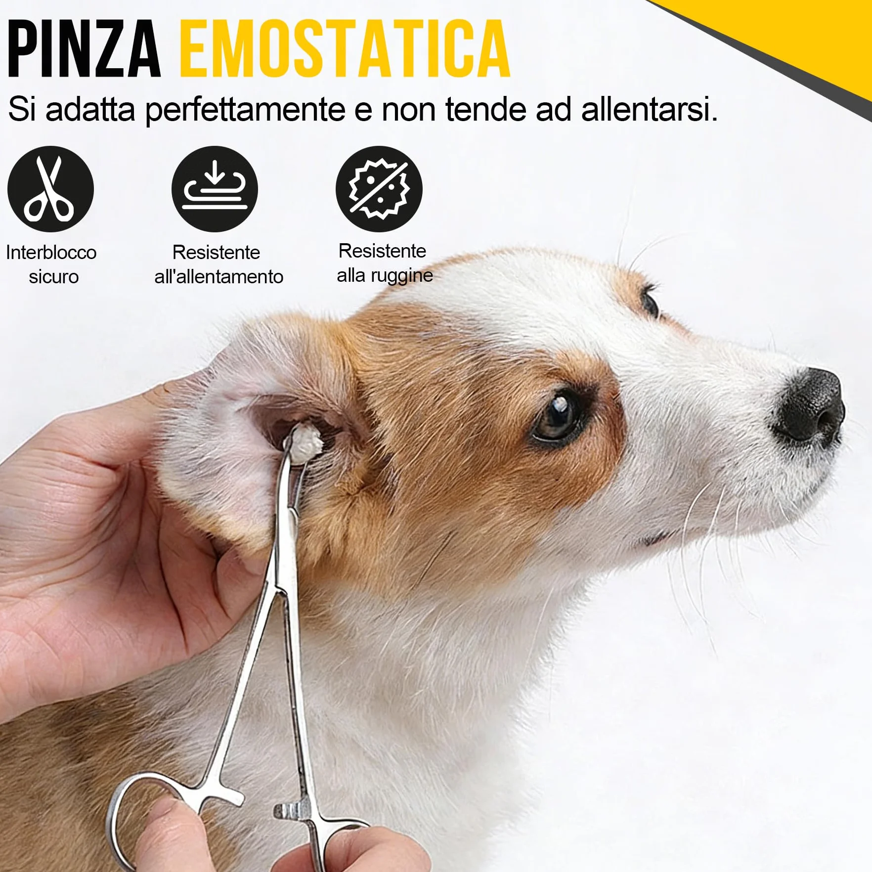 2 Pezzi Pinze Emostatiche in Acciaio Inox, Pinza Curva e Diritta 12,5cm, Morsetti di Precisione per Pulizia Orecchie Animali Domestici, Grooming Cani e Gatti, Pesca e Hobby
