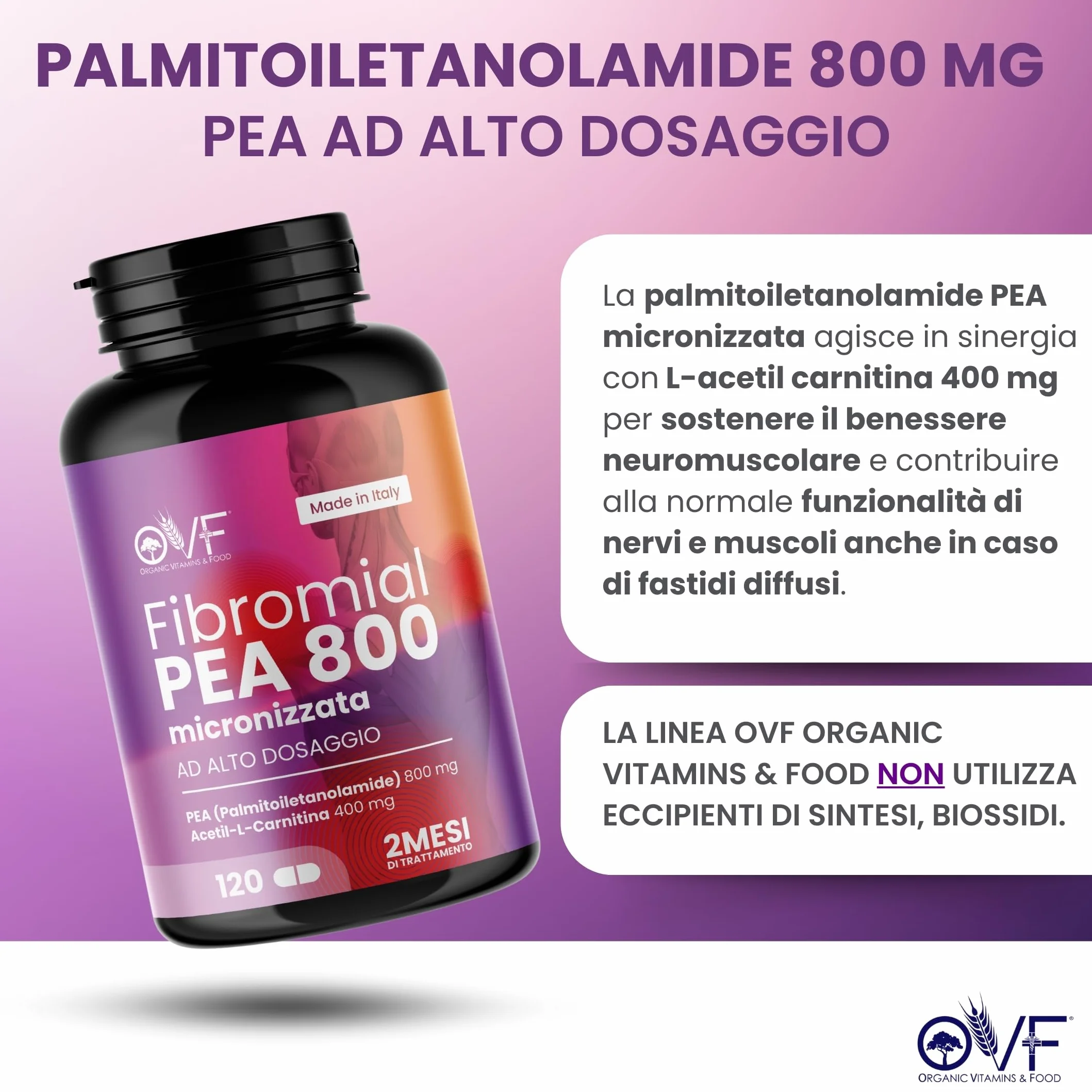 Integratore Fibromial PEA 800 120cps Palmitoiletanolamide Acetil Carnitina Supporto Benessere Nervi Muscoli