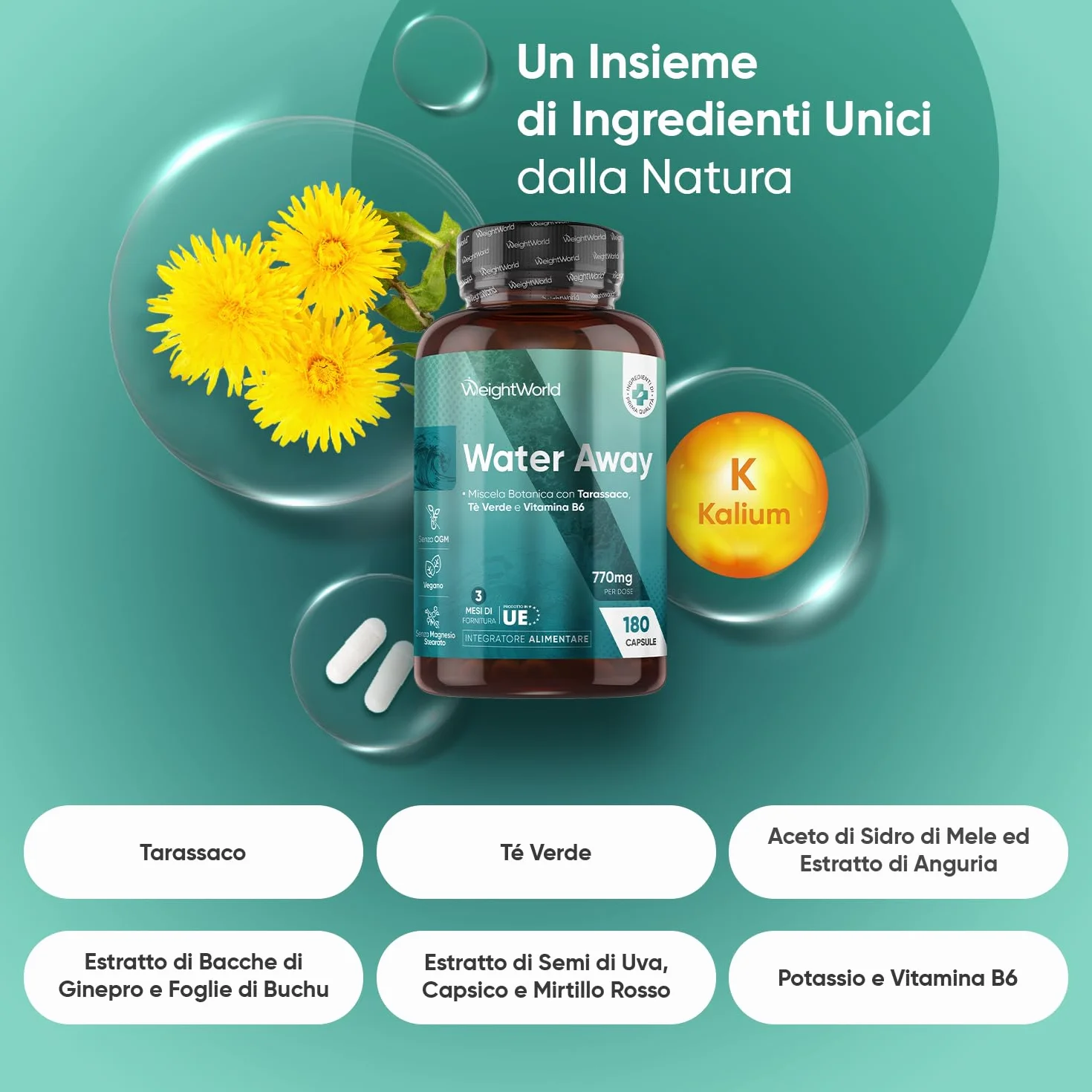 Water Away 180 Capsule Vegane 770mg per Dose Tarassaco con Te Verde e Vitamina B6
