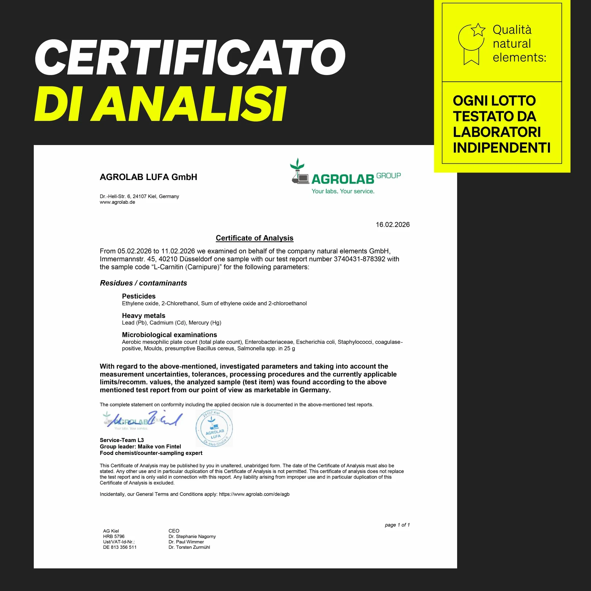 L-Carnitina 2000 con Carnipure, 2000 mg di L-carnitina per Dose Giornaliera, 120 Capsule Vegan, ad Alto Dosaggio e Senza Additivi, Prodotto e Testato in Laboratorio in Germania