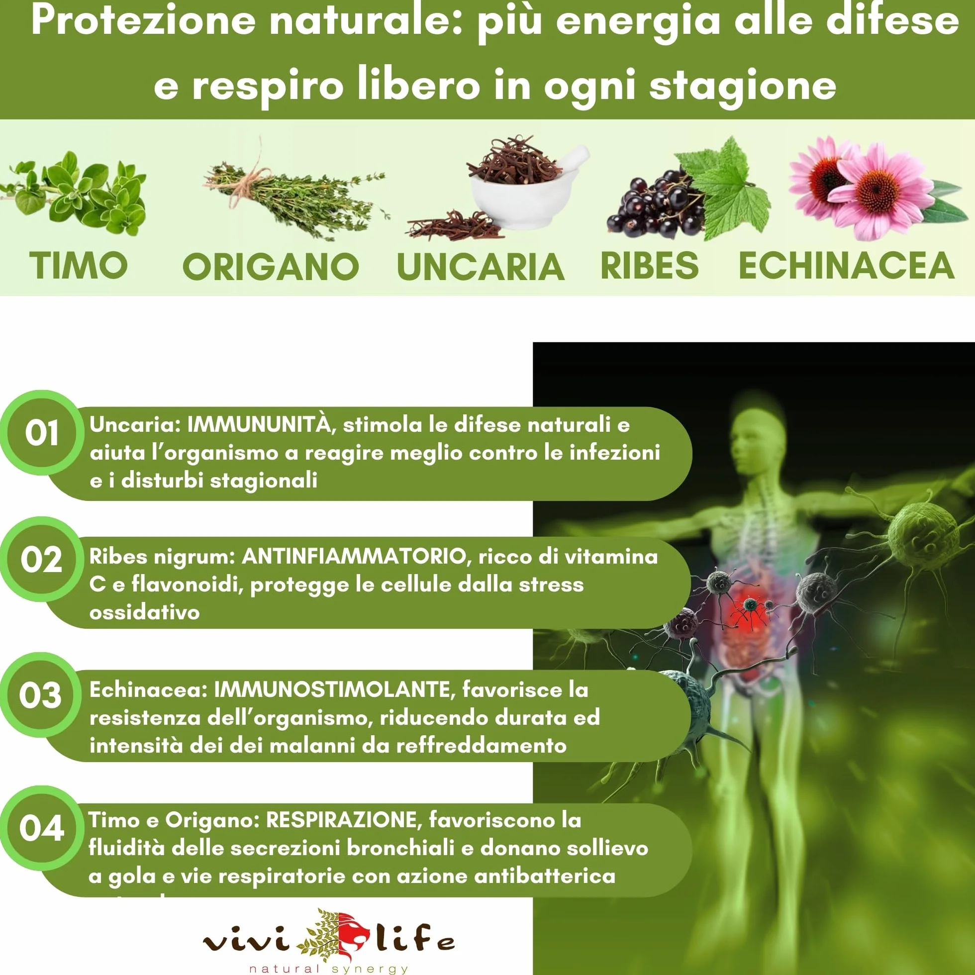 Clean Vibe Theta 50 ml Integratore Naturale per Difese Immunitarie con Uncaria, Timo, Origano, Ribes, Echinacea