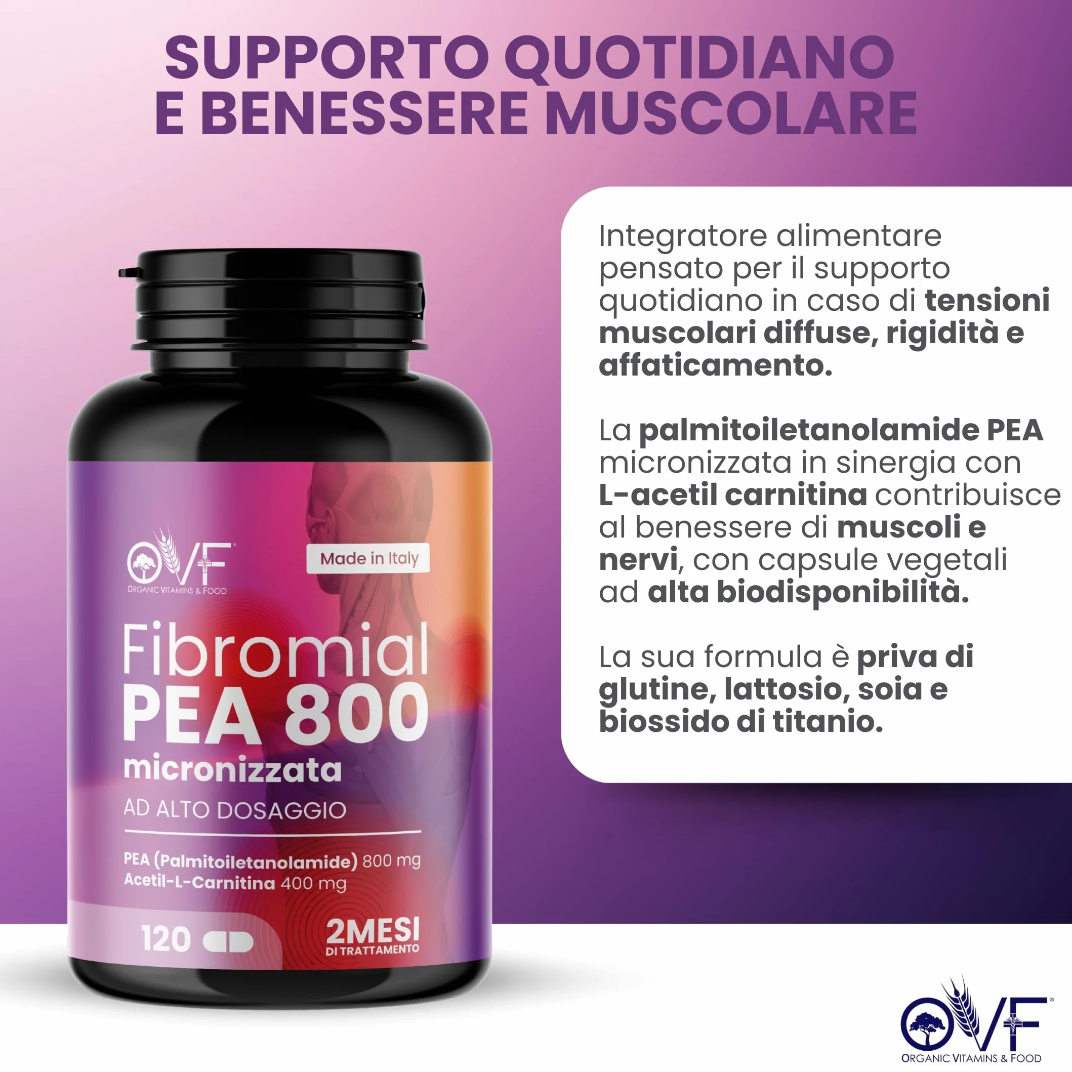 Integratore Fibromial PEA 800 120cps Palmitoiletanolamide Acetil Carnitina Supporto Benessere Nervi Muscoli