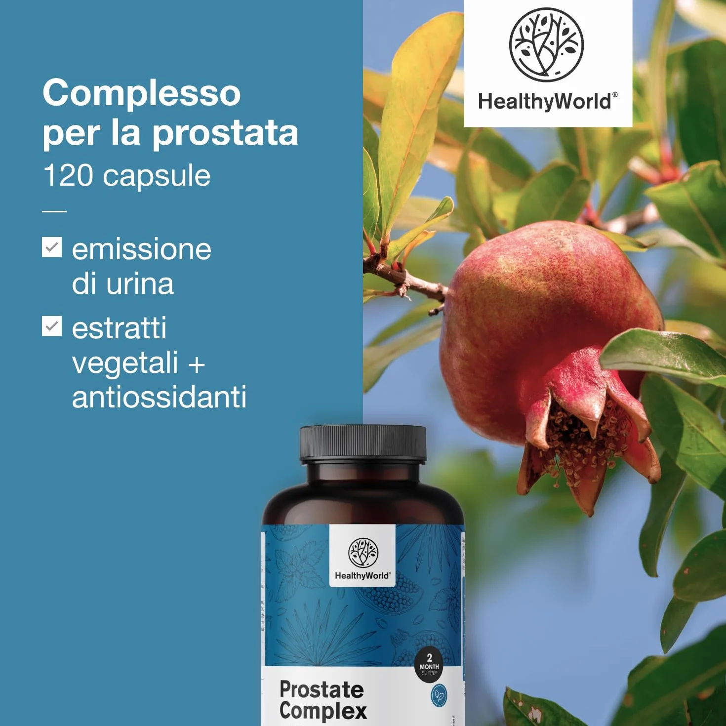 HealthyWorld Complesso Per la Prostata 120 Capsule Vegetali con Semi di Zucca, Melograno, Ortica, Saw Palmetto, Vitamina E, Zinco e Selenio
