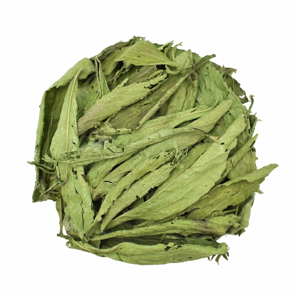 Stevia Rebaudiana Foglie Intere Tè Erbe Secca 300g