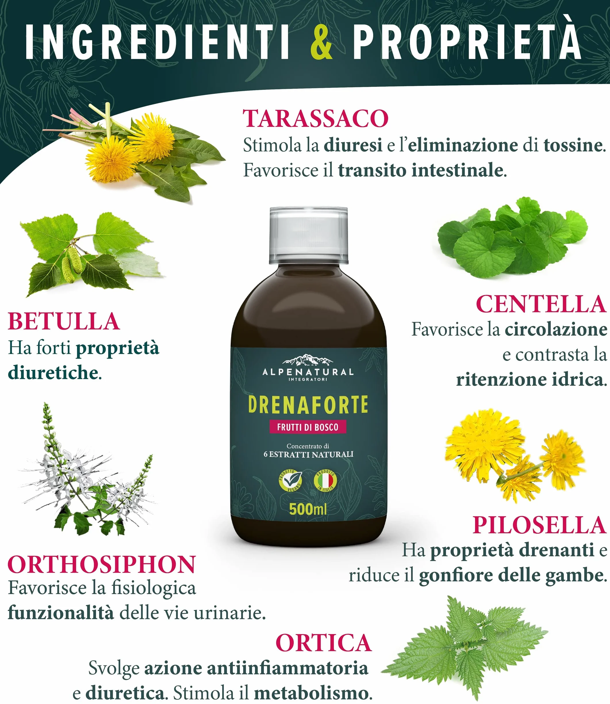 Drenaforte Drenante Forte Concentrato di 6 Estratti Naturali Detox Depurativo Naturale Ritenzione Idrica Frutti di Bosco Vegano 500 ml
