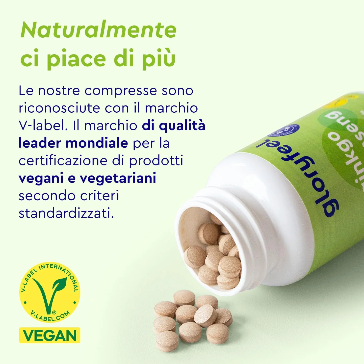 Ginkgo + Ginseng 365 Compresse - 24% Glicosidi Flavonici - Estratto di Panax Ginseng e Ginkgo Biloba (50:1) ad Alto Dosaggio - Scorta di 1 Anno - Testato in Laboratorio, Vegan e Senza Additivi
