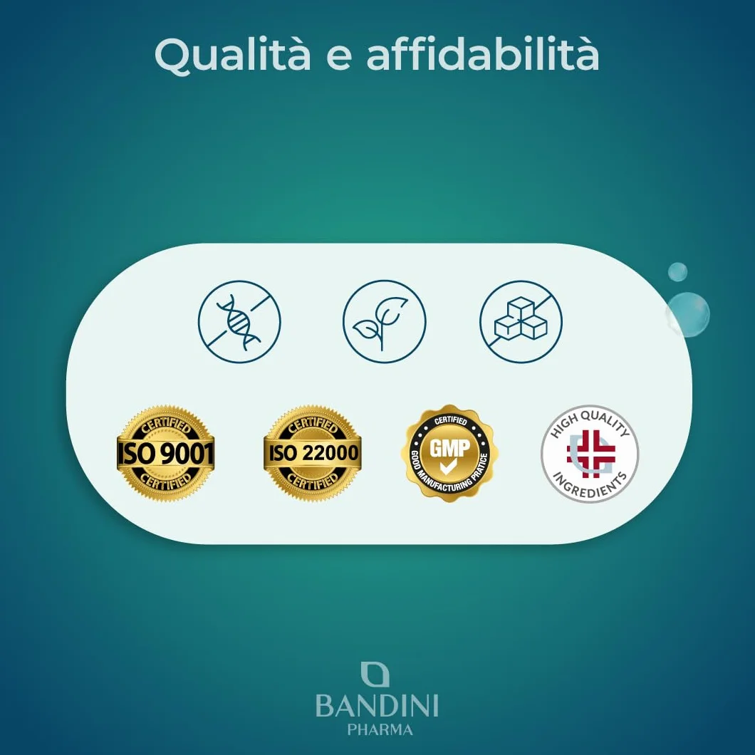 Bandini® NAC N-Acetil-Cisteina 220 Capsule 600mg (+7 Mesi),Precursore del Glutatione, Acetilcisteina 600mg, 1 Capsula al Giorno, Alto Dosaggio di N-Acetilcisteina Aumentata, Integratore 100% Vegano
