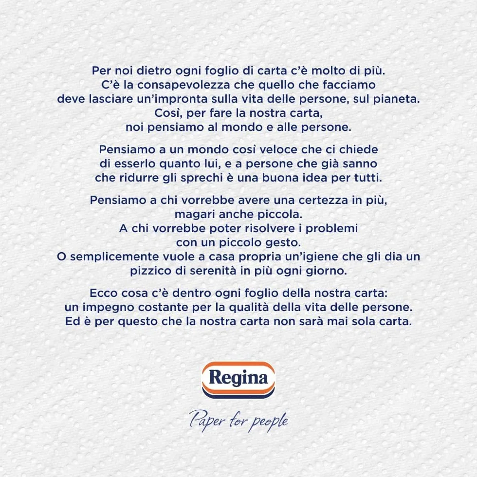 Regina Power Carta Multiuso 250 Fogli 2 Veli Pulizia Superfici FSC