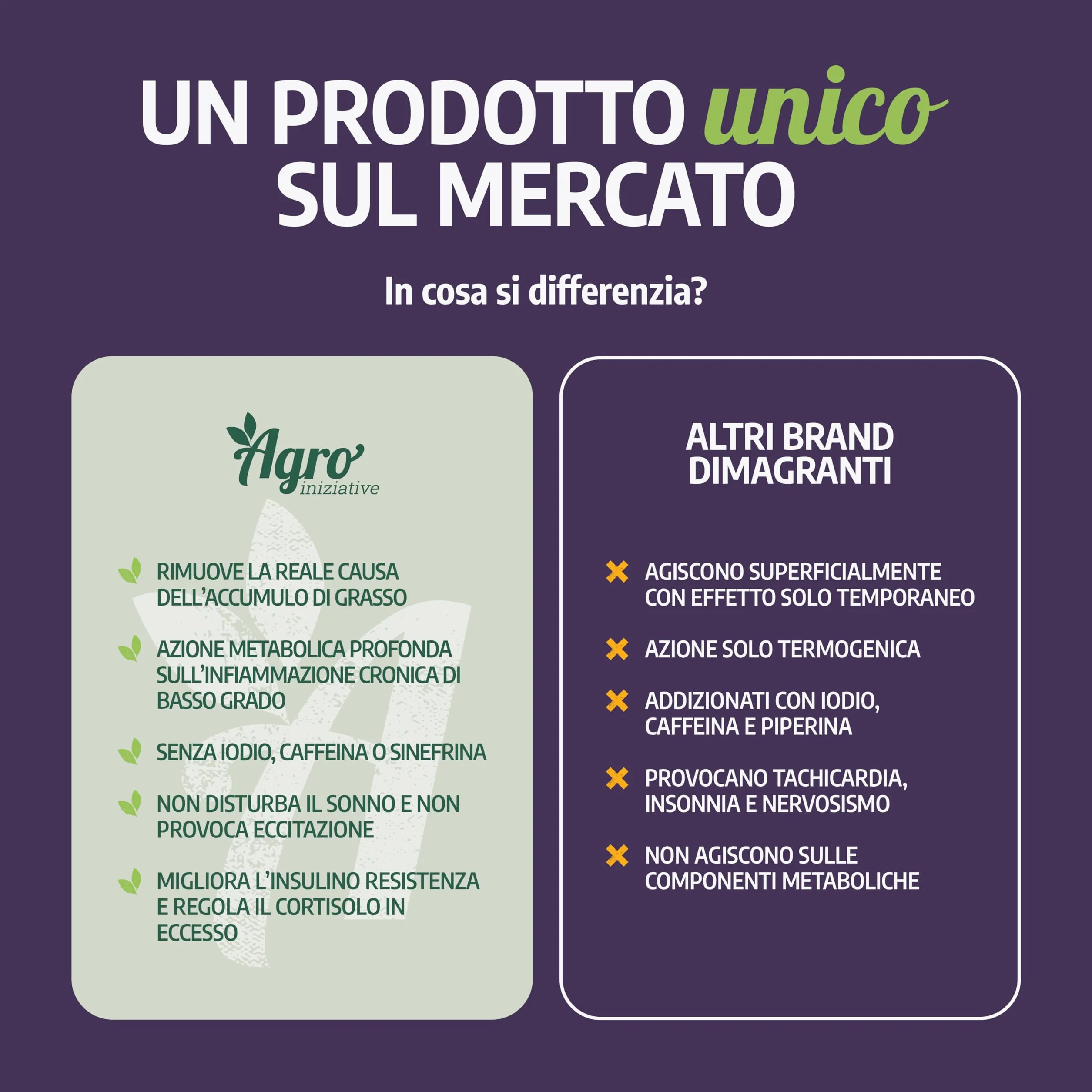 Spirulina Slim 100 Cps Alga Spirulina Biologica Drenante Detox Senza Iodio E Caffeina Con Zenzero Acetil L-Carnitina E Greenselect
