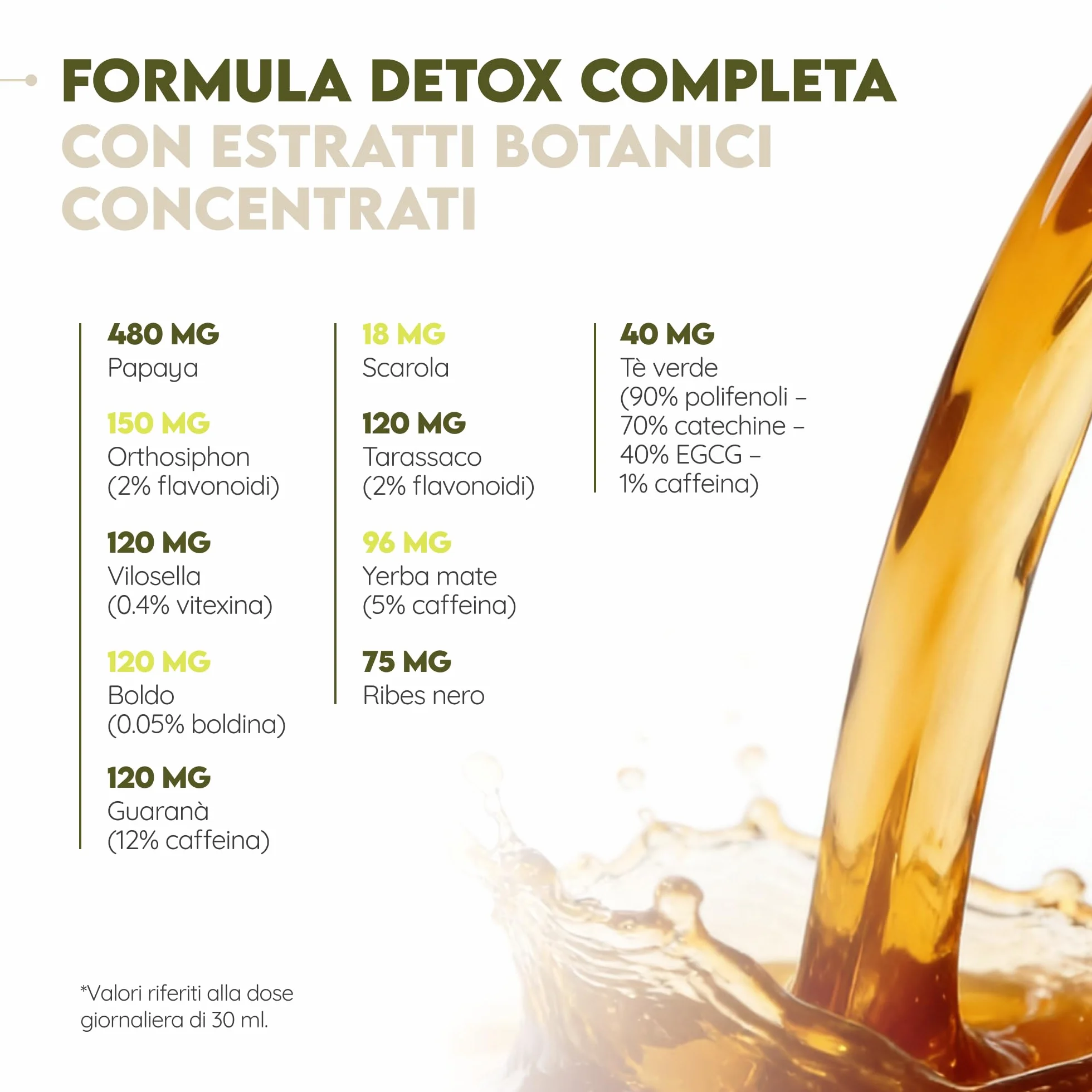 N2 Natural Nutrition DETOX Formula Liquida Tè Verde 500 ml