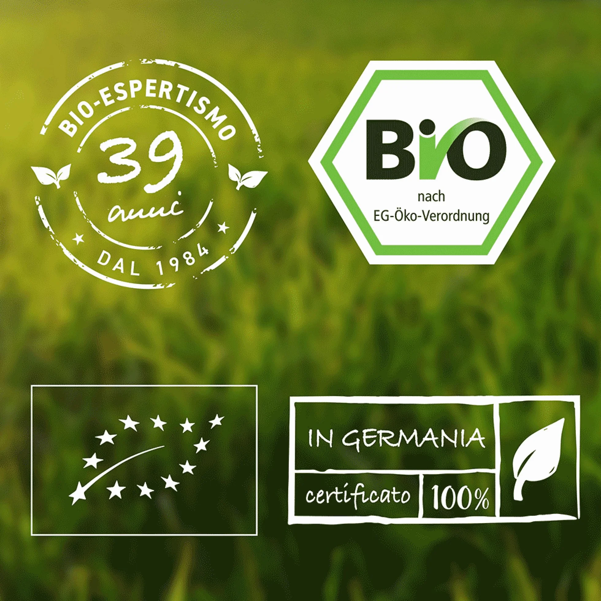 Triphala Bio 150 capsule a 500mg - per 75 giorni - alta dose - confezionato e controllato in Germania - 100% vegano - miglior rapporto qualità-prezzo - Biotiva