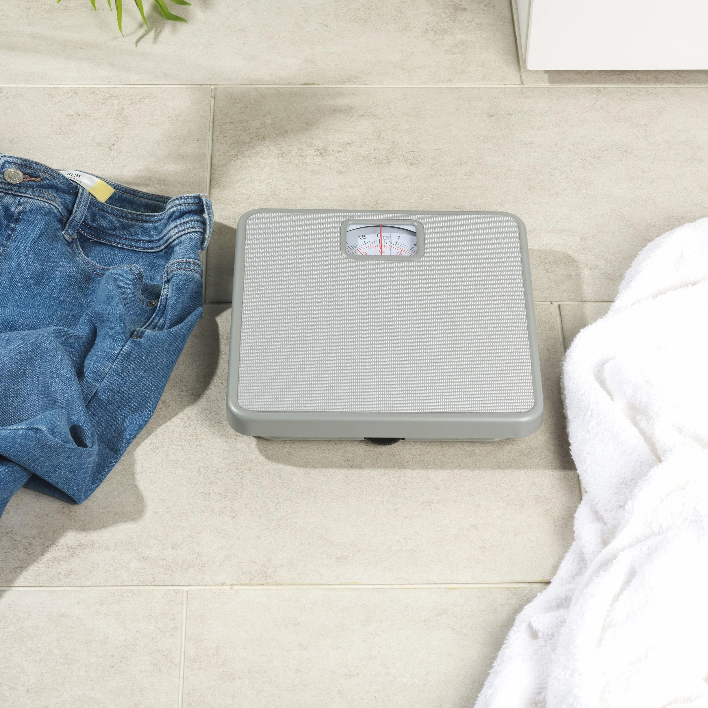 Salter 433 SVDR Bilancia pesapersone meccanica da bagno argento 120 kg