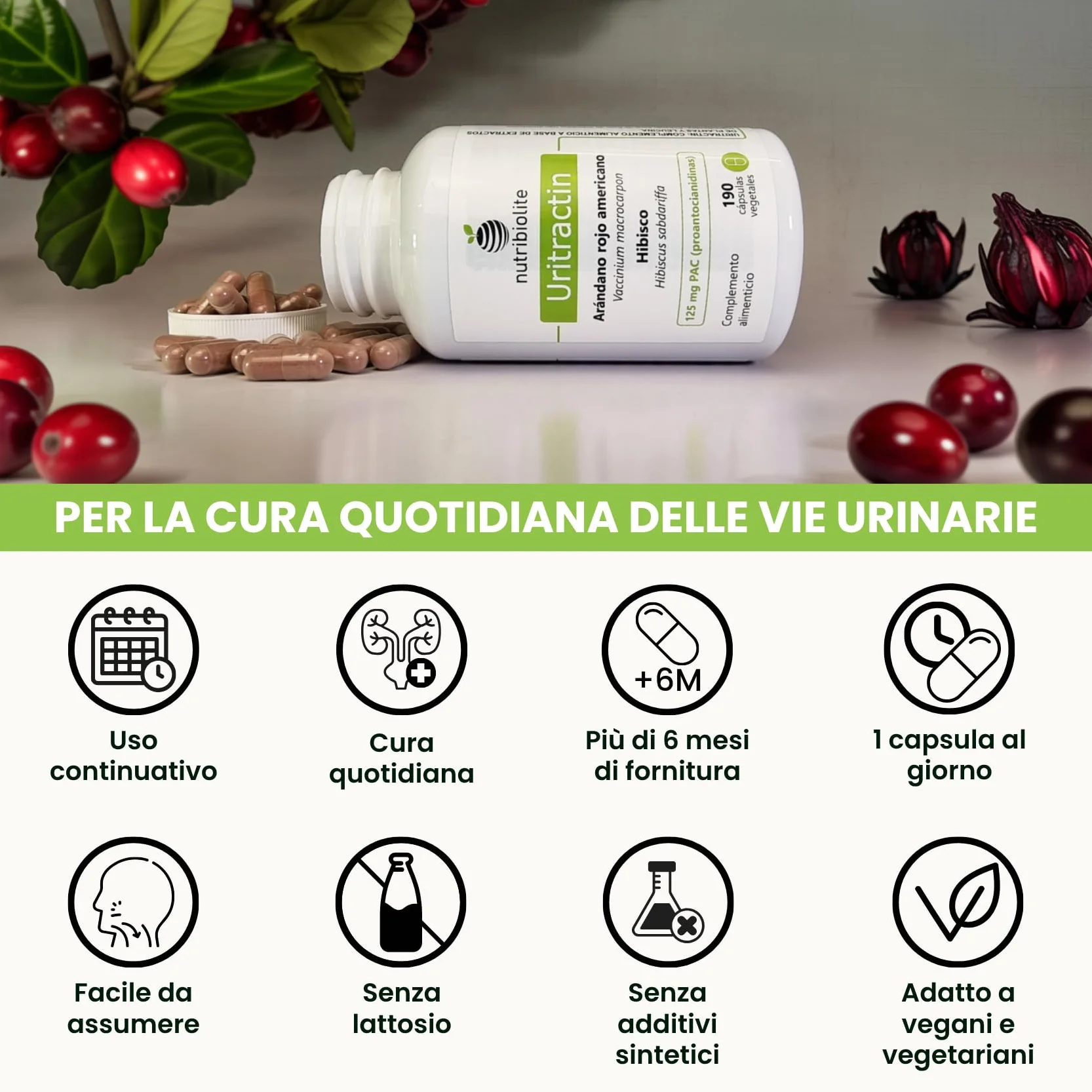 Mirtillo Rosso Americano Cranberry con Ibisco 125 mg di PAC Proantocianidine - Vie Urinarie - 190 Capsule - Senza Additivi +6 Mesi | Uritractin Nutribiolite
