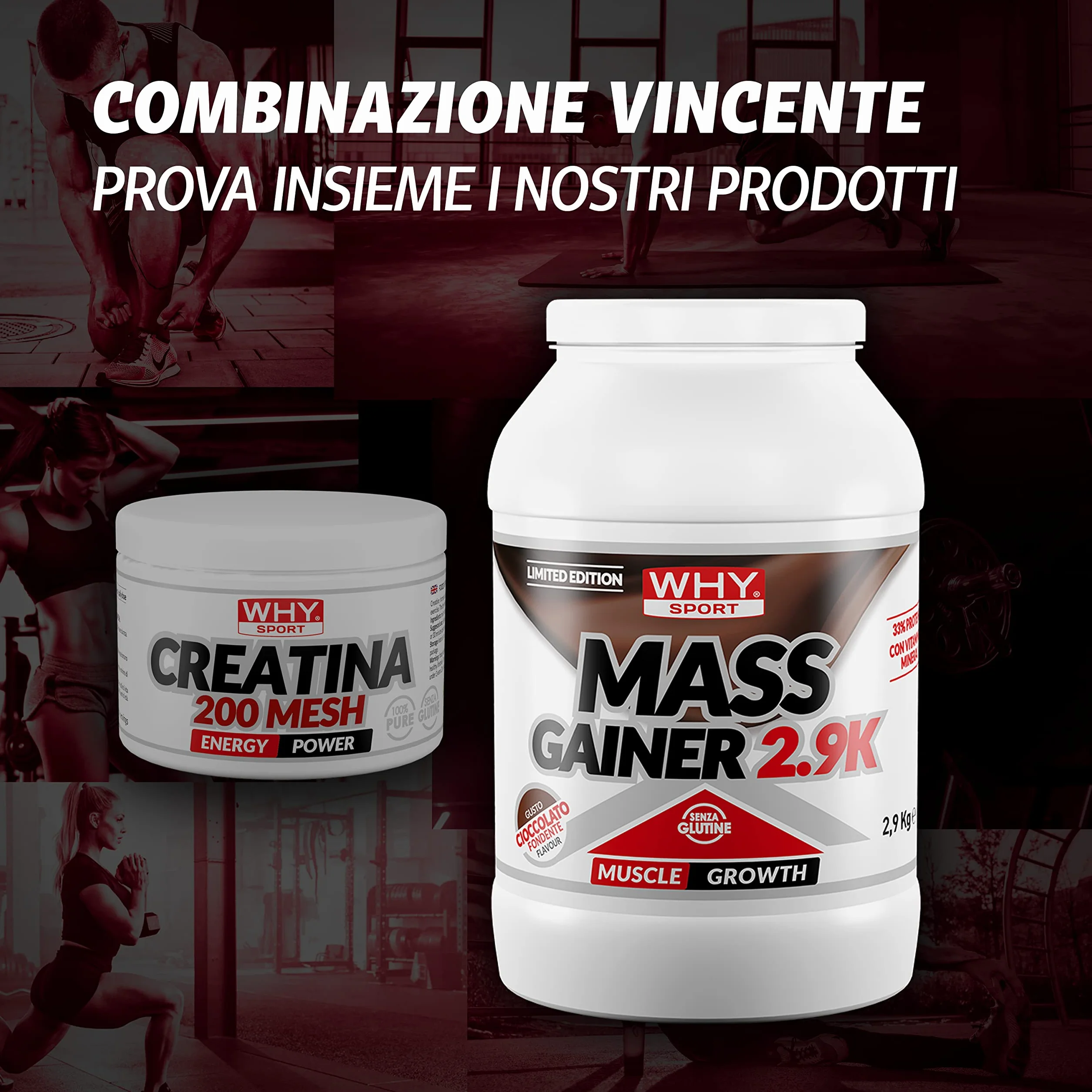 WHY SPORT CREATINA 200 MESH - Creatina - Pre Workout - Integratore Alimentare a Base di Creatina Monoidrato - 200 g