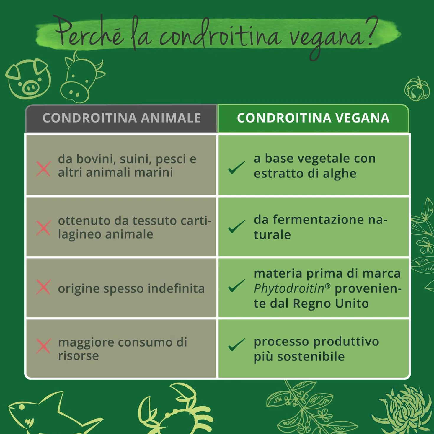 Glucosamina Condroitina Complex VEGAN | con MSM, Artiglio del diavolo, Zinco e Vit C | Integratore Articolazioni | Alto dosaggio di Glucosamin Solfato | Cruelty Free e Senza Additivi | Vegavero