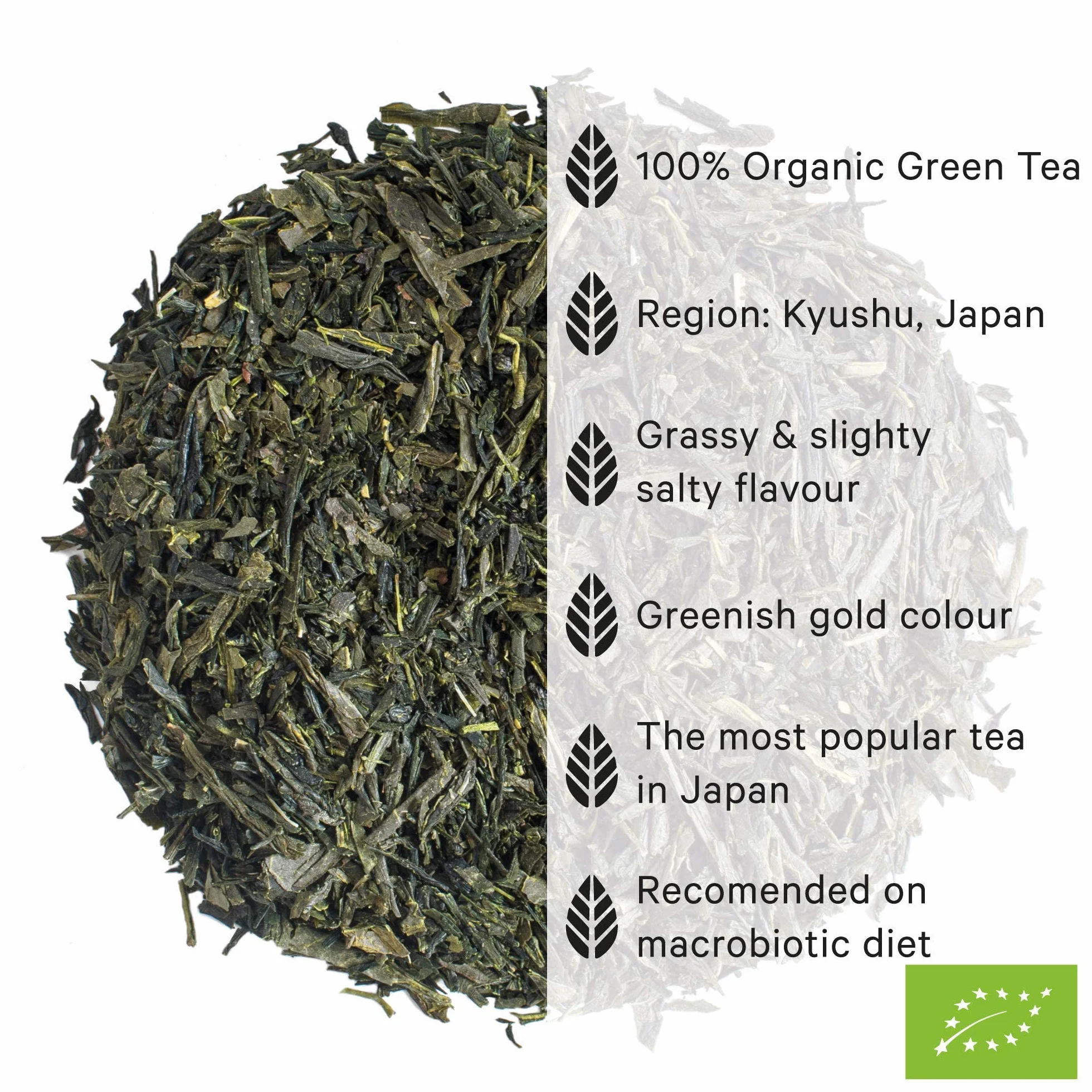 Moya Tè Verde Sencha No. 21 Biologico | 60 g | Il Migliore Tè Verde Giapponese | Cordiale per Vegani e Vegetariani | Ideale per un regalo