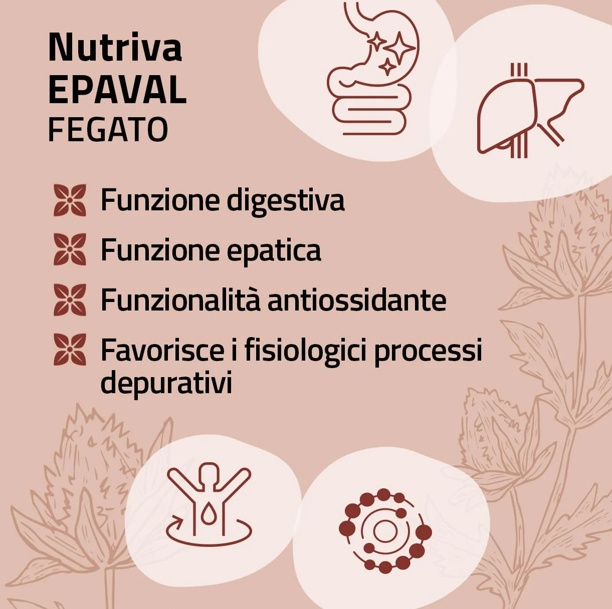 NUTRIVA Epaval Integratore Alimentare Betaina Colina Inositolo Metionina N-acetilcisteina 50 Capsule
