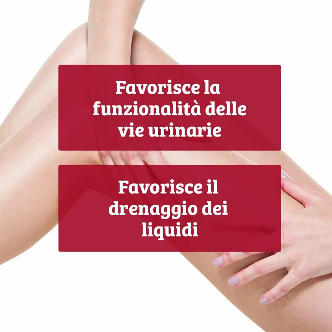 Colours of Life Cyst Cranberry Integratore di Mirtillo Rosso 60 Compresse Senza Glutine Vegano