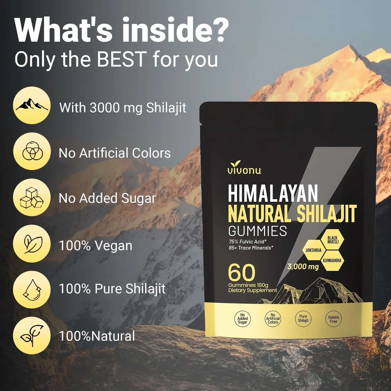 VivoNu Gomme Shilajit
