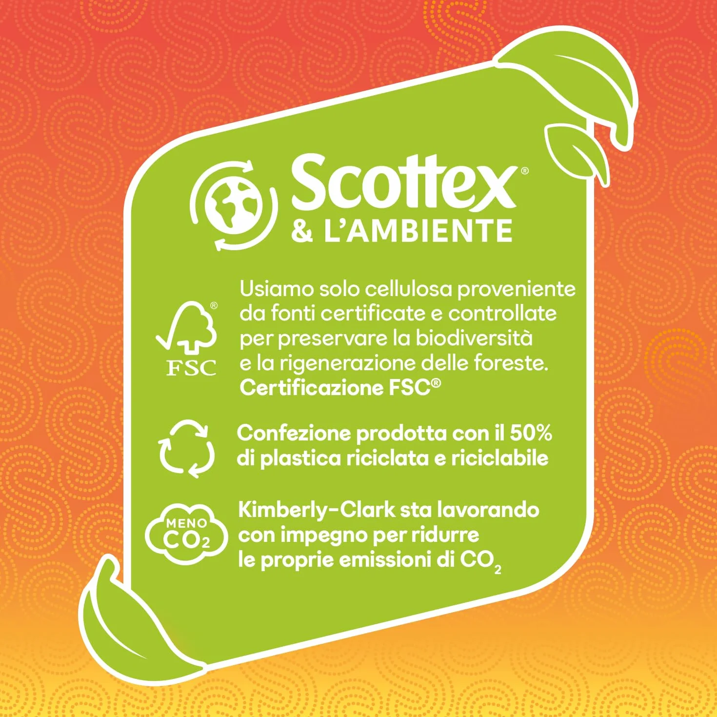 Scottex Quanto Basta Carta Cucina 24 Maxi Rotoli FSC