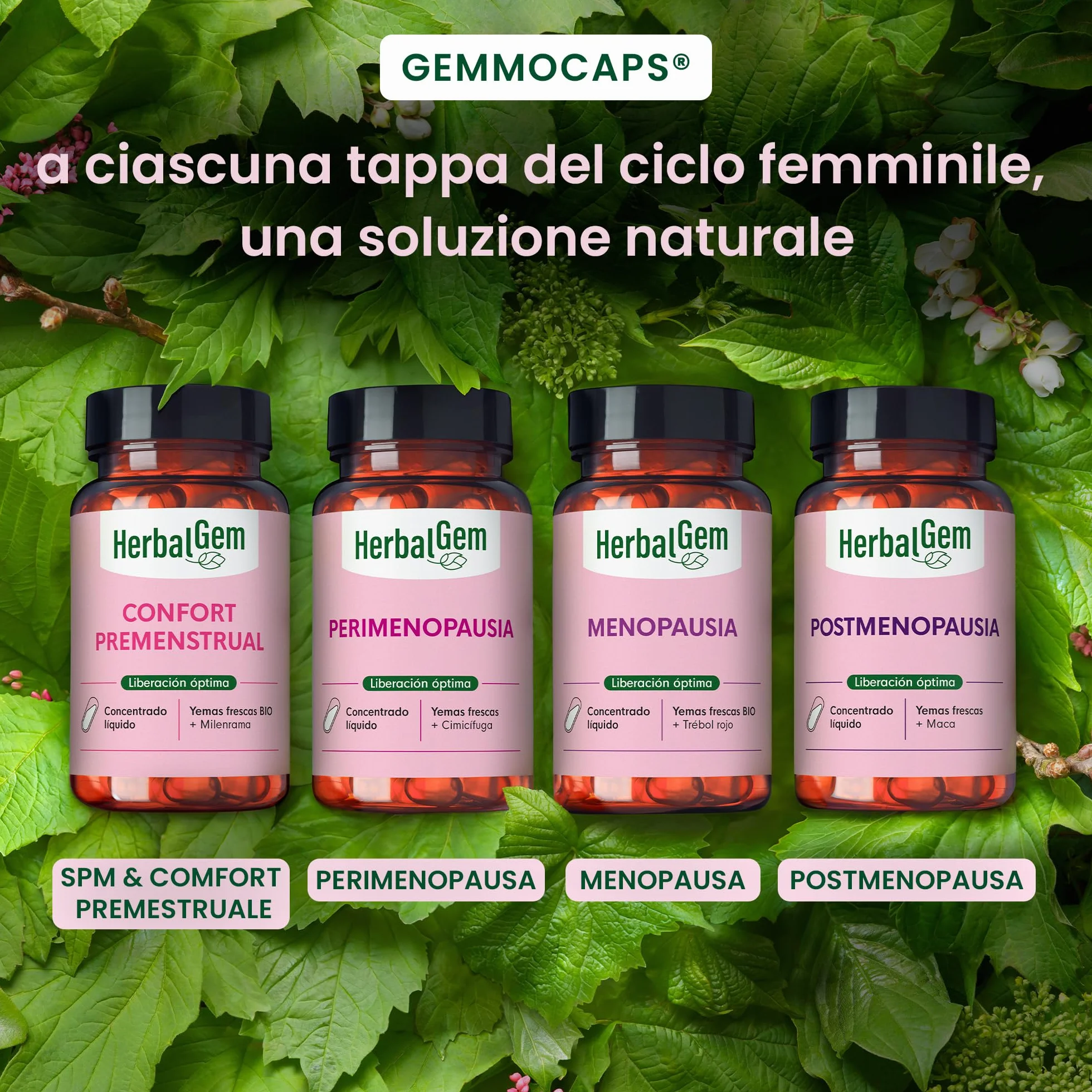 HerbalGem - GEMMOCAPS Postmenopausa - Complemento Senza Ormoni - Allevia il Disagio e Rafforza le Funzioni Ossee e Cognitive - 30 capsule