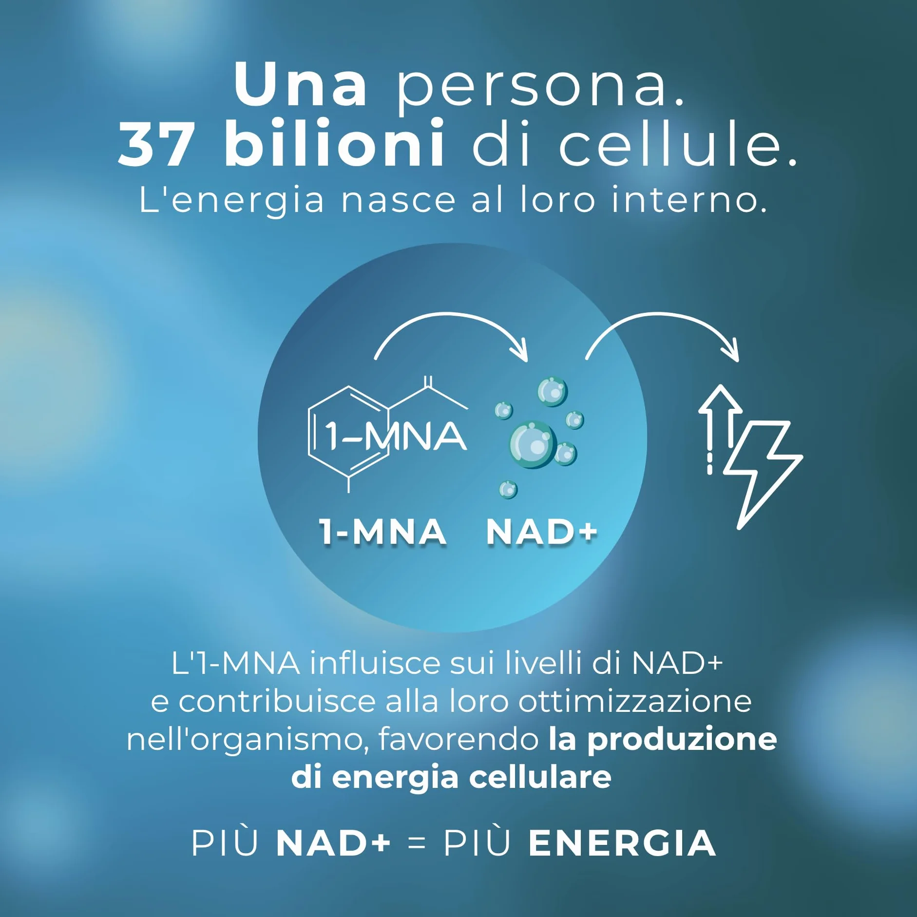 1-MNA Brain, Integratore Anti-Età, Ottimizza Naturalmente NAD+ con Ginkgo Biloba, Zinco, Biotina, Vitamine C, B1, B5, B6, B12, Salute Cellulare, Memoria, Concentrazione, 30 Compresse